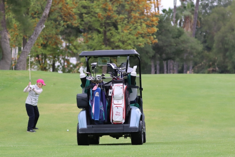 WGA holiday tournament