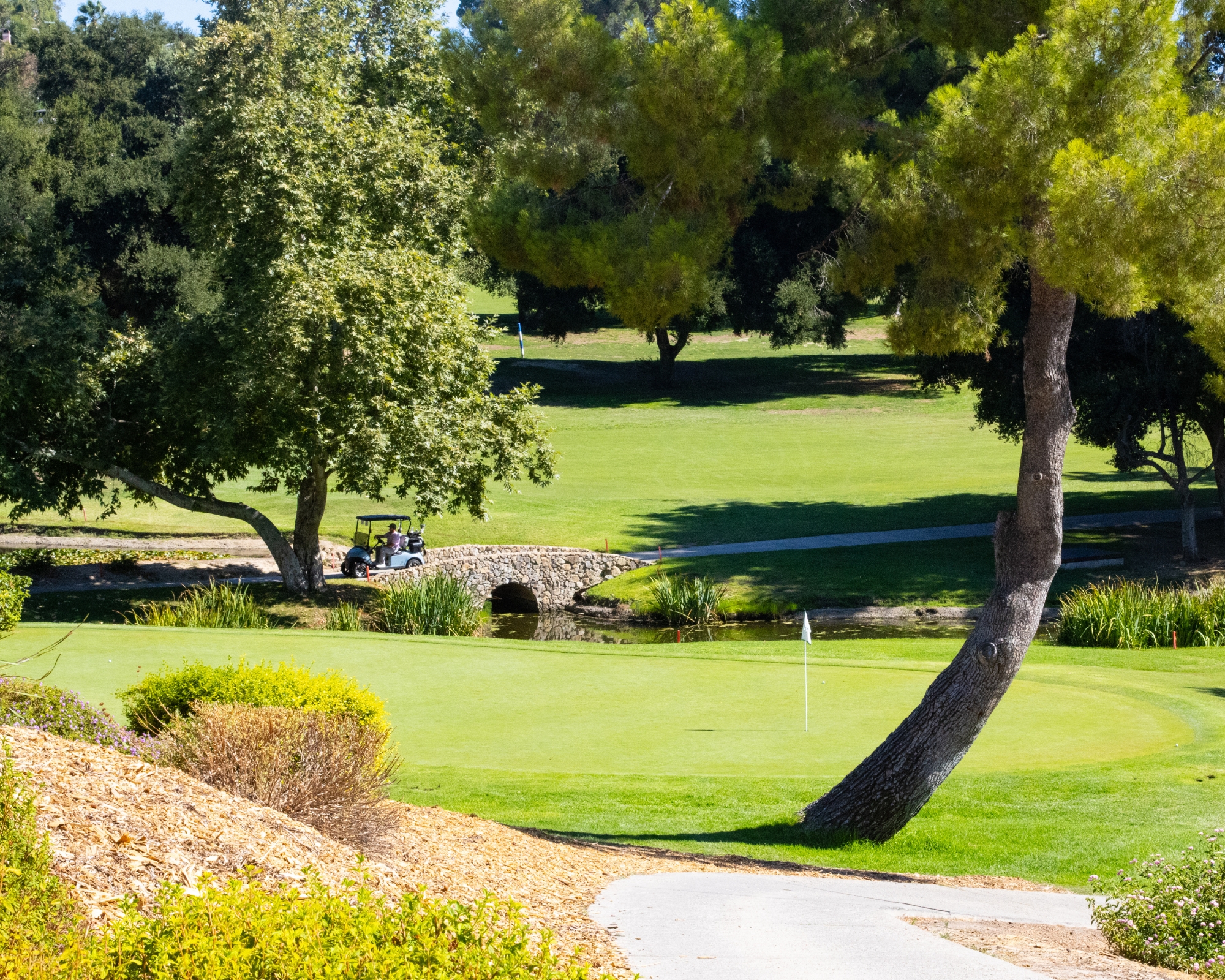 Historic WHCC course view